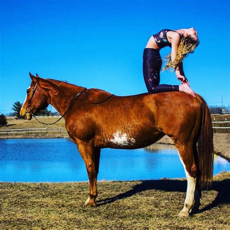 apparently  yoga   horse    horses horse yoga horse
