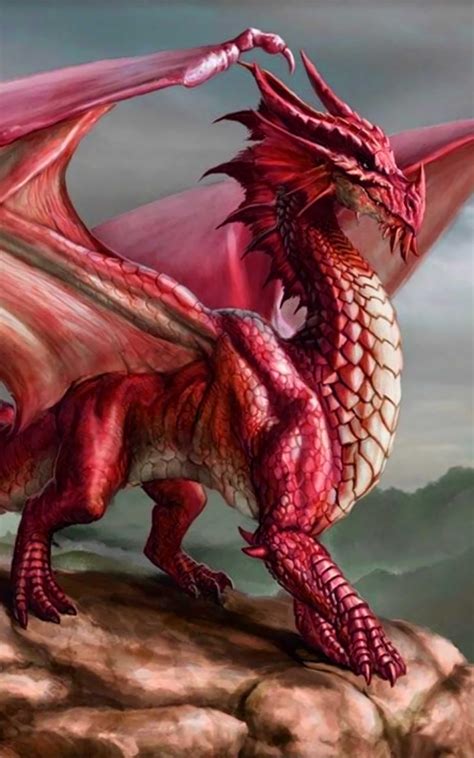 red dragon wallpapertip