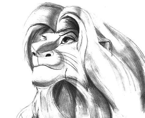 lion king drawings   lion king drawings png images