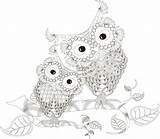 Zentangle Stylized Drawn Hand Vector Illustration Owl Stock Owls Sitting Two sketch template