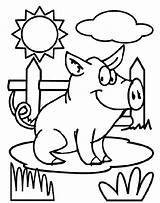 Pig Coloring Colouring Pages Crayola Color Printable Print Farm Sheet Clipart sketch template