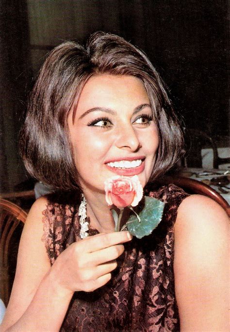 Happy Birthday Sophia Loren French Postcard By Editions  Flickr