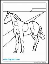 Horse Coloring Pinto Paint Pages Horses Clydesdale Drawing Sheet Getdrawings Template Colorwithfuzzy sketch template