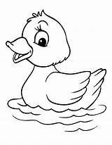 Duck Coloring Baby Draw Netart Print sketch template