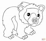 Bear Coloring Brown Cub Pages Cute Drawing Cartoon Printable Bears Kids Supercoloring Getdrawings Silhouettes Categories sketch template