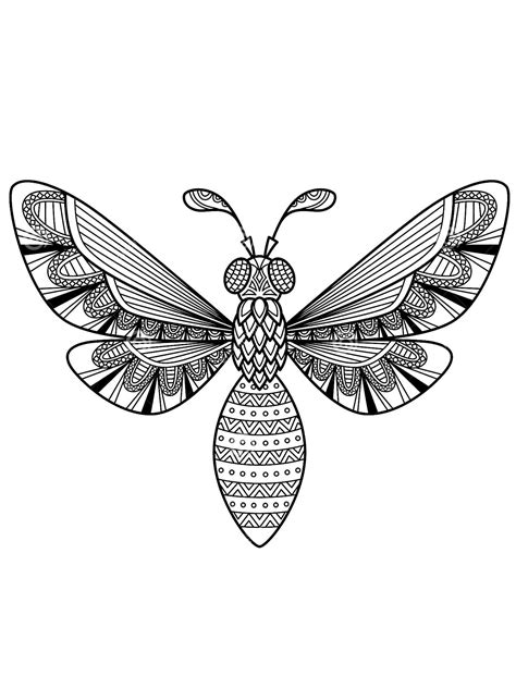 insect coloring pages insects bugs coloring pages topcoloringpages