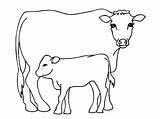 Cow Coloring Pages Printable Kids Results sketch template