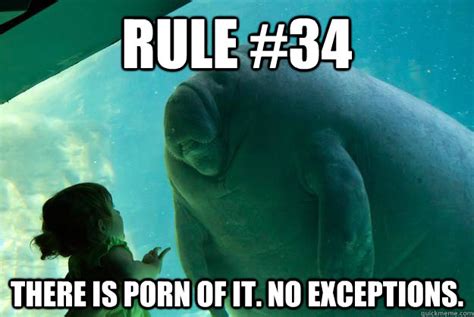 rule 34 there is porn of it no exceptions overlord manatee quickmeme