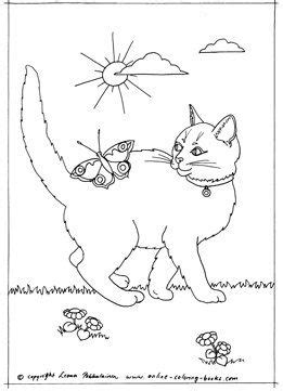 color  pretty  cat   butterfly cat coloring page