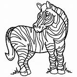 Zebras Cebra Cebras Colorindo Animados Zebre Gran Pasto Tiere Stampare Educativeprintable Relacionados Dibujoscolorear Malvorlage Kategorien Marcadores sketch template