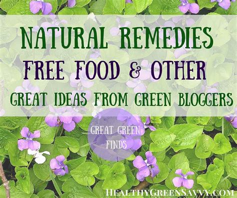 great green finds natural remedies  food   goodies