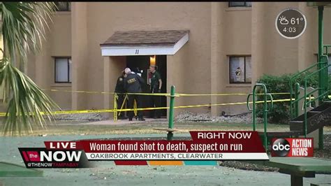 Woman Found Dead Inside Clearwater Apartment After Reports Of Gunshots