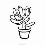 Succulent Potted Ultracoloringpages sketch template