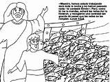 Visvangst Pesca Milagrosa Wonderbaarlijke Kleurplaten Apostelen Testament Jezus Wonderbare Maravilhosa Tekeningen Bijbel Bezoeken Milagres Bijbelse Miraculeuse Peche Pêche Pascua sketch template