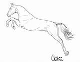 Horse Lineart sketch template