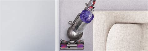 difference   dyson animal  animal
