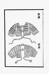 Lamellar Ming Armor sketch template
