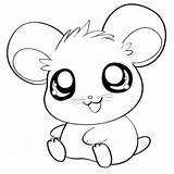 Hamster Coloring Pages Baby Getdrawings sketch template