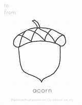 Acorn Coloringtop Designlooter Printables Preschool sketch template