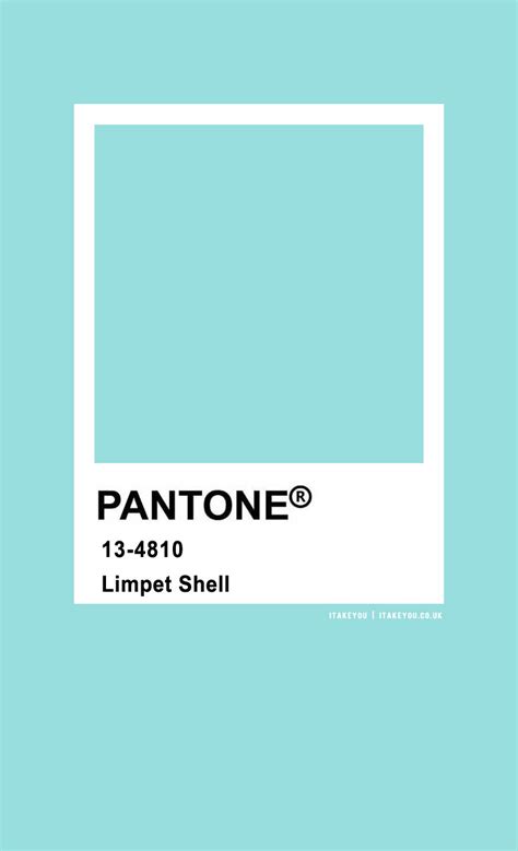 pantone color pantone limpet shell    wedding readings wedding ideas wedding