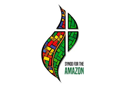 synod   amazon  year   paths   church    integral ecology