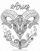 Coloring Aries Pages Zodiac Printable Signs Adult Adults Coloringgarden Pdf Printables Ram Color Colouring Gemini Sign Print Drawing Book Au sketch template