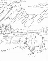 Teton Wyoming Yellowstone Supercoloring sketch template