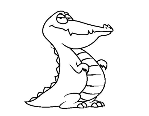 alligator coloring page coloringcrewcom