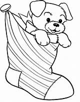 Coloring Christmas Dog Pages Puppy Dogs Cute Stocking Tea Cup Teacup Stockings Kids Colouring Sheets Animal Present Starbucks Printable Da sketch template