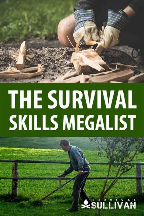 survival skills megalist survival sullivan