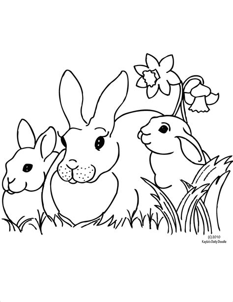 rabbit family coloring pages coloring pages