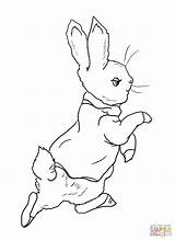 Rabbit Peter Coloring Pages Printable Drawing Bunny Garden Mr Away Color Mcgregor Beatrix Potter Roger Going Into Realistic Supercoloring Colouring sketch template