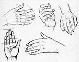 Drawing Hands Reference Draw Hand Female Step Sheets Practice Womens These Human Tutorials sketch template