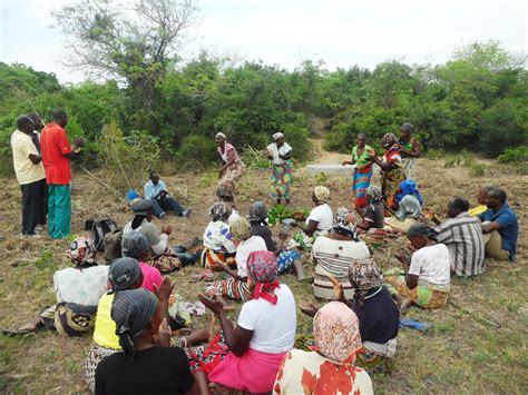 community conservation research network xai xai region mozambique