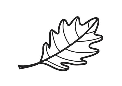 coloring page oak leaf img  leaf drawing coloring pages