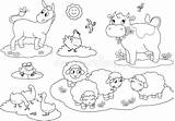 Farm Coloring Animals Stock Illustration Cow Donkey Hen sketch template