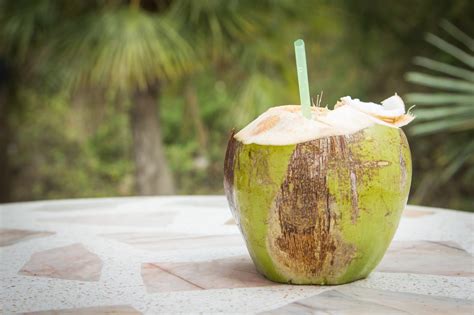 health benefits  drinking coconut water saona island