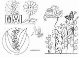 Mois Coloriage Annee Crayon sketch template