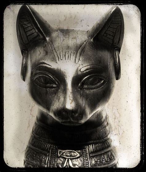 bastet gatos egipcios gatos en el antiguo egipto y arte egipcio