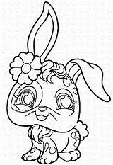 Coloriage Lapin Littlest Petshop Mignon Animaux Luxueux Bestappsforkids Stumble sketch template