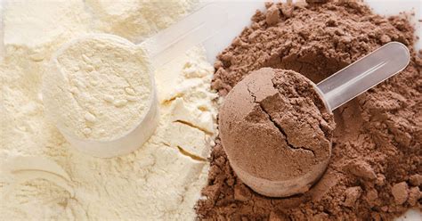 whey protein isolate  concentrate  definitive guide