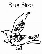 Coloring Birds Blue Pigeon Nest Twistynoodle Bleu Est Print Built California Usa Noodle Favorites Login Add Ll 89kb sketch template