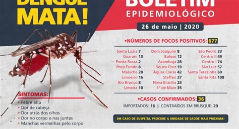 sobe para 36 número de casos confirmados de dengue em brusque confira