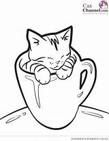 Kitten Coloring Pages Baby Print Getdrawings sketch template