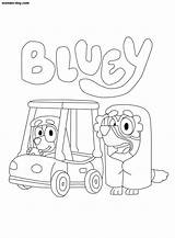 Bluey Colorare Colouring Puppy Bingo Clipart Disegni sketch template