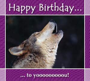 happy birthday wolf metal amino