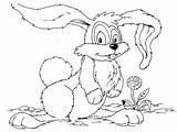 Coniglio Konijn Kelinci Malvorlage Kaninchen Mewarnai Conejo Dibujo Coelho Kanin Diwarnai Lapin Colorir Cheetos Desenhos Dents Coloriage Leprotto Binatang Rabbits sketch template