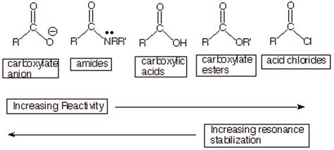 chapter  functional derivatives  carboxylic acids