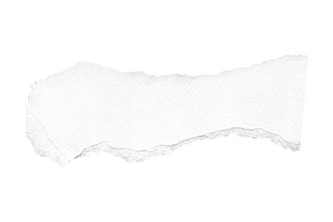 white torn paper isolated   transparent background  png