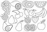 Vector Illustration Berries Fruits Icons Coloring Cartoon Book sketch template